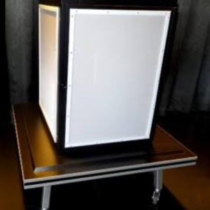 LIGHT & SHADOW / SHADOW TO LIFE MAGIC