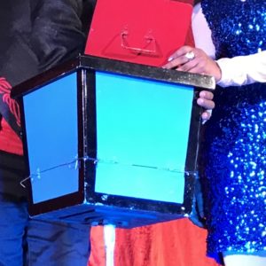 CHEST OF MYSTERY / BIRD TO RABBIT OR DOG BOX