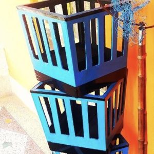 BIRDS FROM NO WHERE (2 CAGES) / BIRD FROM NET IN CAGES