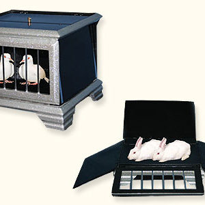 DOVE TO RABBIT APPEAR BOX MAGIC