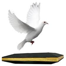 BALOON TO DOVE TRAY MAGIC / DOVE TRAY MAGIC