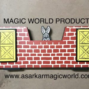 RUN RABBIT RUN MAGIC