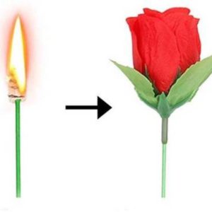 FIRE TORCH TO ROSE MAGIC