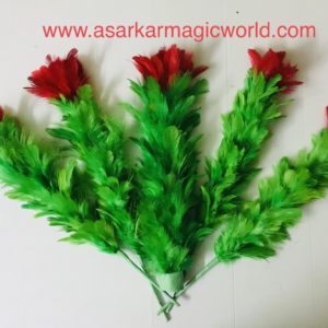 FIVE IN ONE FLOWER MAGIC / ONE TO FOUR MAGIC