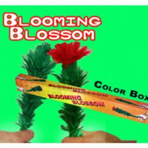 BLOOMING BLOSSOM FEATHER MAGIC