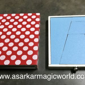 PERPETUAL PUZZLE TRICK