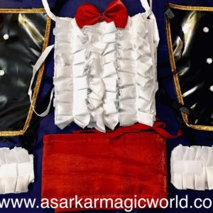 MAGICIAN FRILL DRESS & LEG COVER (SILVER COLOR)