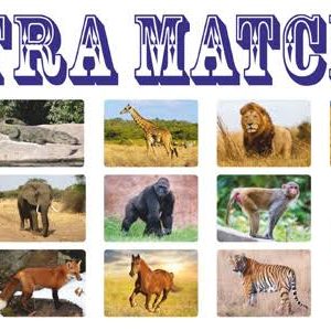 ULTRA MATCHIC MAGIC (LAMINATED) DELUX