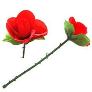 Folding Rose Plastic (RED) / Appearing Rose VALENTINE Magic
