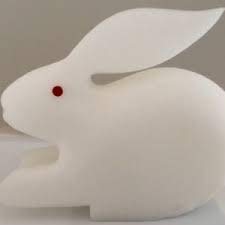 Sponge Balls to Rabbit Magic (White) / Sponge Rabbit Magic