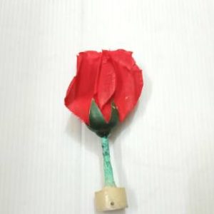 FINGER APPEARING ROSE FLOWER MAGIC / FLOWER FROM FINGER TIPS MAGIC