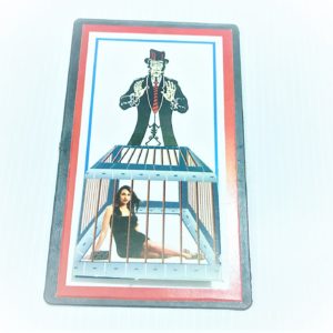 Lady to Tiger Picture Magic (Pocket Version)