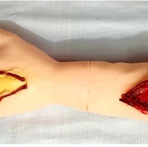 GHOST HAND / HALLOWEEN BLOODY ARM