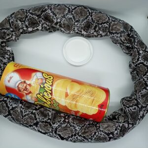 DELICIOUS PRANK CHIPS / CHIPS TO SNAKE SURPRISE GIFT / CHIPS GAG TOY