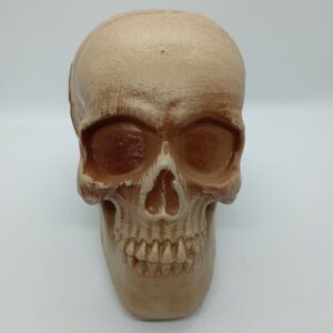 HORROR SKULL GAG TOY / GHOST SKULL PRANK PROP