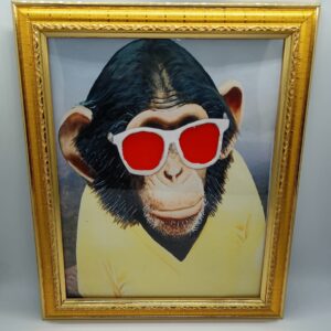 MONKEY PHOTO FRAME MAGIC / COLOR CHANGING SUNGLASS MAGIC FRAME