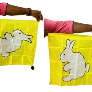 DUCK TO RABBIT SILK MAGIC TRICK / RABBIT TO DUCK SILK MAGIC